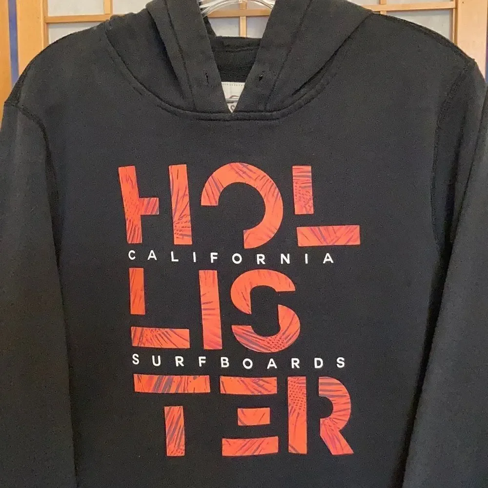 Hollister Logo Hoodie